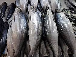 Ikan Bandeng