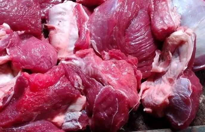 Daging Kambing / Domba